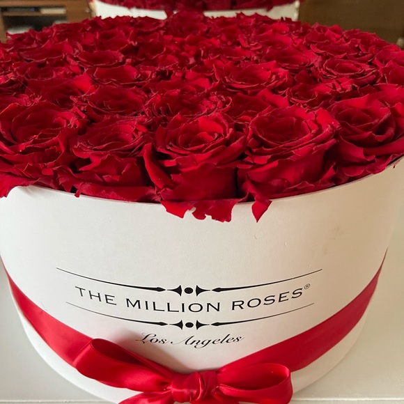 The Millions Roses - Picture 6 of 8